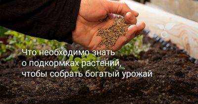 Что необходимо знать о подкормках растений, чтобы собрать богатый урожай - botanichka.ru