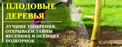 Удобрение для плодовых деревьев: открываем тайны весенних и осенних подкормок - yaskravaklumba.com.ua - Украина