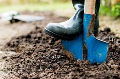 Как правильно обеззаразить почву в теплице перед высадкой рассады? - aif.ru
