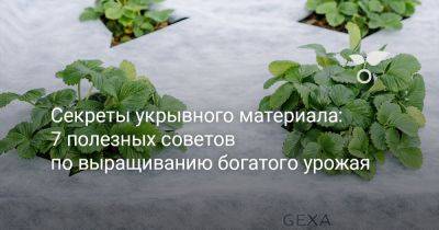 Секреты укрывного материала: 7 полезных советов по выращиванию богатого урожая - botanichka.ru