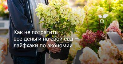 Как не потратить все деньги на свой сад — лайфхаки по экономии - botanichka.ru
