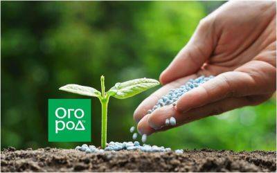 8 фосфорных и калийных удобрений, которые пригодятся и рассаде, и взрослым растениям - ogorod.ru