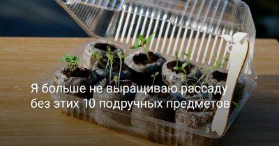 Я больше не выращиваю рассаду без этих 10 подручных предметов - botanichka.ru