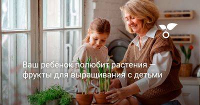 Ваш ребёнок полюбит растения — фрукты для выращивания с детьми - botanichka.ru
