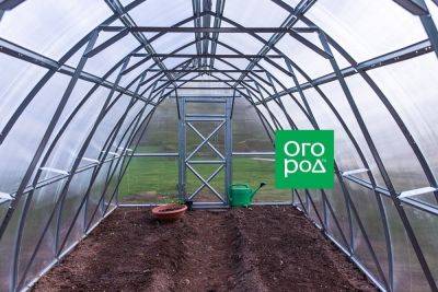 Чем заправить грядки в теплице весной для богатого урожая - ogorod.ru