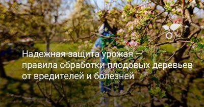 Надежная защита урожая — правила обработки плодовых деревьев от вредителей и болезней - botanichka.ru