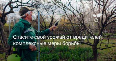 Спасите свой урожай от вредителей: комплексные меры борьбы - botanichka.ru - Калининград