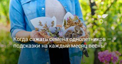 Когда сажать семена однолетников — подсказки на каждый месяц весны - botanichka.ru