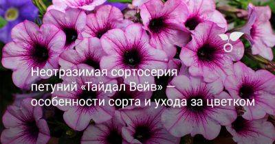 Неотразимая сортосерия петуний «Тайдал Вейв» — особенности сорта и ухода за цветком - botanichka.ru