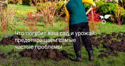 Что погубит ваш сад и урожай: предотвращаем самые частые проблемы - botanichka.ru