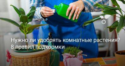 Нужно ли удобрять комнатные растения? 8 правил подкормки - botanichka.ru