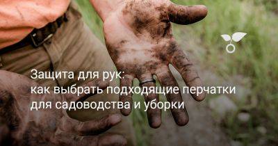 Защита для рук: как выбрать подходящие перчатки для садоводства и уборки - botanichka.ru