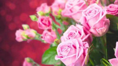 ТОП-10 стойких сортов роз, которые долго держат цветок - gradinamax.com.ua