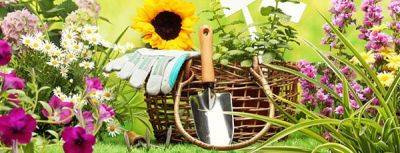 Июль: 30 важных дел в саду, на огороде и цветнике - gradinamax.com.ua