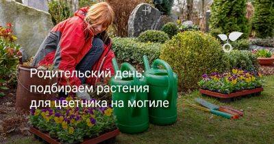 Родительский день — какие цветы посадить на кладбище? - botanichka.ru