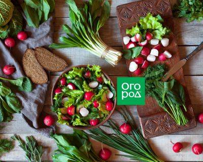7 самых вкусных салатов из редиса - ogorod.ru