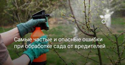 Самые частые и опасные ошибки при обработке сада от вредителей - botanichka.ru