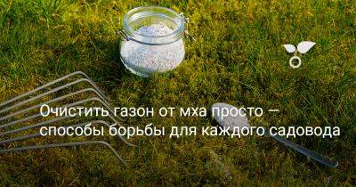 Очистить газон от мха просто — способы борьбы для каждого садовода - botanichka.ru