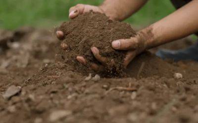 Как избавиться от усталой почвы? - plant-growing.com
