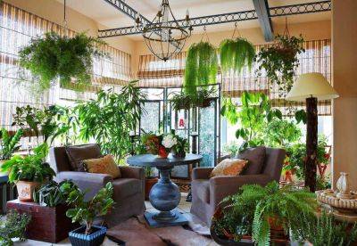 Дизайн сада внутри дома: зелень и релаксация - sadogorod.club