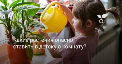 Какие растения опасно ставить в детскую комнату? - botanichka.ru