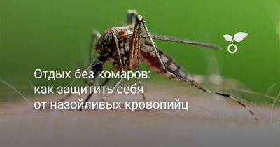 Отдых без комаров: как защитить себя от назойливых кровопийц - botanichka.ru