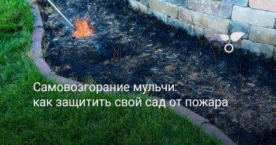 Самовозгорание мульчи — как защитить свой сад от пожара? - botanichka.ru