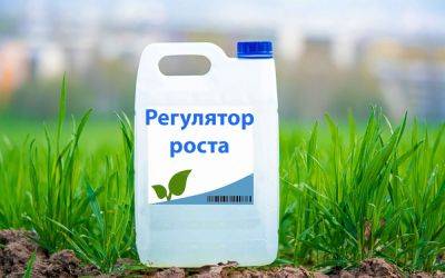Разбираемся в стимуляторах и регуляторах роста растений - ogorod.ru