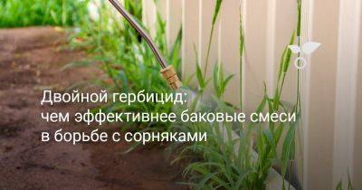 Двойной гербицид: чем эффективнее баковые смеси в борьбе с сорняками - botanichka.ru