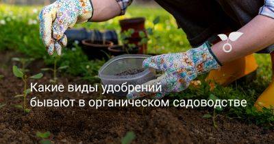Какие виды удобрений бывают в органическом садоводстве? - botanichka.ru