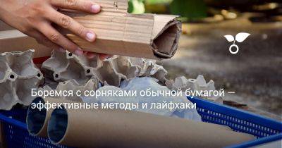Боремся с сорняками обычной бумагой — эффективные методы и лайфхаки - botanichka.ru