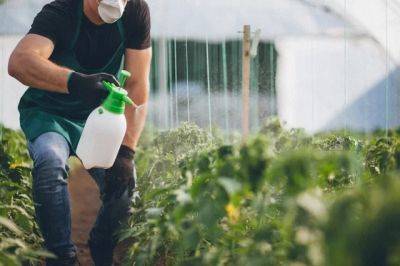 Денис Терентьев - Можно ли использовать гербициды сплошного действия на огороде? - aif.ru