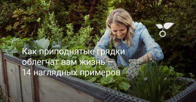 Как приподнятые грядки облегчат вам жизнь — 14 наглядных примеров - botanichka.ru