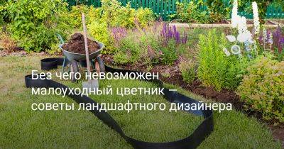 Без чего невозможен малоуходный цветник — советы ландшафтного дизайнера - botanichka.ru