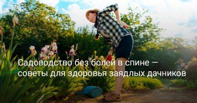 Cадоводство без болей в спине — советы для здоровья дачников - botanichka.ru