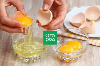 Как быстро и правильно отделить желток от белка в сыром яйце - ogorod.ru