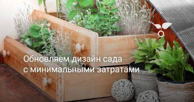 Обновляем дизайн сада с минимальными затратами - botanichka.ru