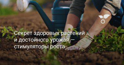 Секрет здоровых растений и достойного урожая — стимуляторы роста - botanichka.ru