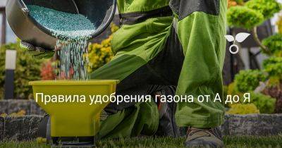 Правила удобрения газона от А до Я - botanichka.ru