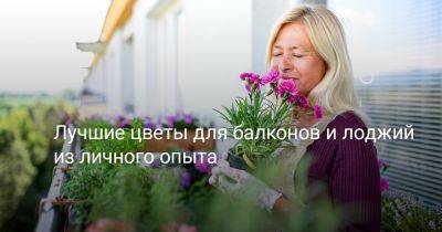 Лучшие цветы для балконов и лоджий из личного опыта - botanichka.ru