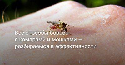 Все способы борьбы с комарами и мошками — разбираемся в эффективности - botanichka.ru