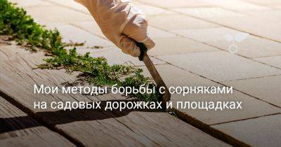 Мои методы борьбы с сорняками на садовых дорожках и площадках - botanichka.ru