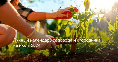 Лунный календарь садовода и огородника на июль 2024 - botanichka.ru