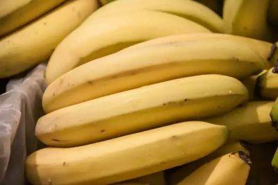 Что можно подкормить настоем из банановой кожуры: эффективный способ удобрения - belnovosti.by