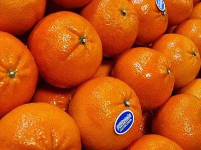 Марин Михалап - Как справиться с паутинным клещом и тлей: помогут корки апельсина - belnovosti.by