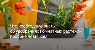 Что необходимо знать об удобрениях комнатных растений — пособие новичкам - botanichka.ru
