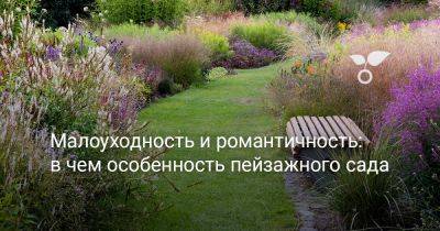 Пит Удольф - Малоуходность и романтичность — в чём особенность пейзажного сада? - botanichka.ru