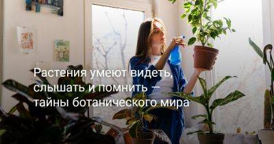 Растения умеют видеть, слышать и помнить — тайны ботанического мира - botanichka.ru - Израиль - Сша - штат Миссури