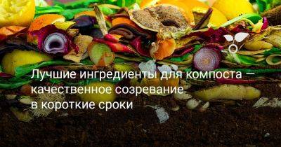 Лучшие ингредиенты для компоста — качественное созревание в короткие сроки - botanichka.ru