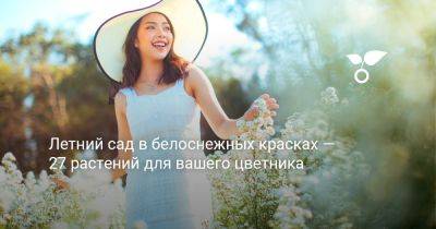 Летний сад в белоснежных красках — 27 растений для вашего цветника - botanichka.ru